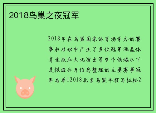 2018鸟巢之夜冠军